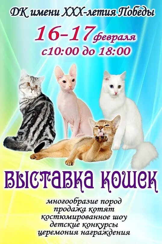 Выставка кошек кемерово 2024. Выставка кошек. Выставка кошек Краснодар. WCF выставки кошек 2022. Выставка кошек Мурманск.
