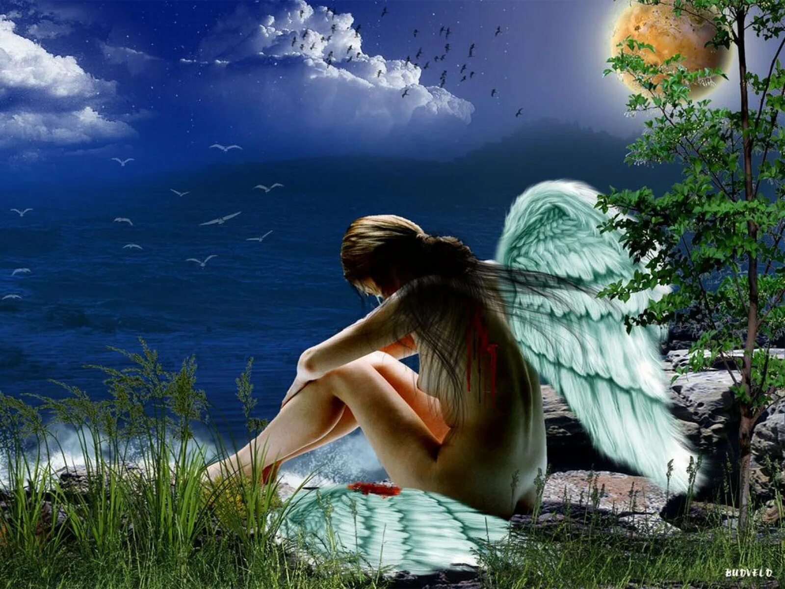 Яша птица. Ранимый птица. Рисунок птички раненой. Ранимый птица. Девушка лебедь арт.