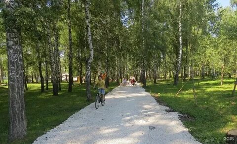 Березовая роща тула