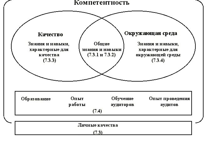 Компетентность аудитора. Концепция компетентности аудитора. Компетенции внутреннего аудитора. Навыки аудитора.