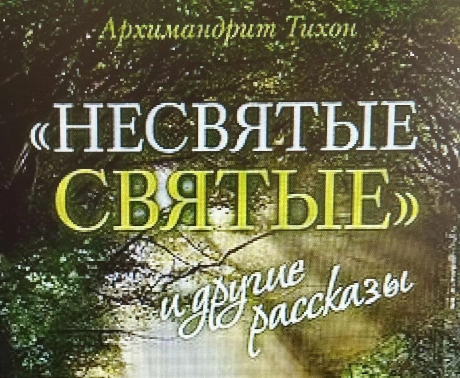 Шевкунов книга несвятые святые