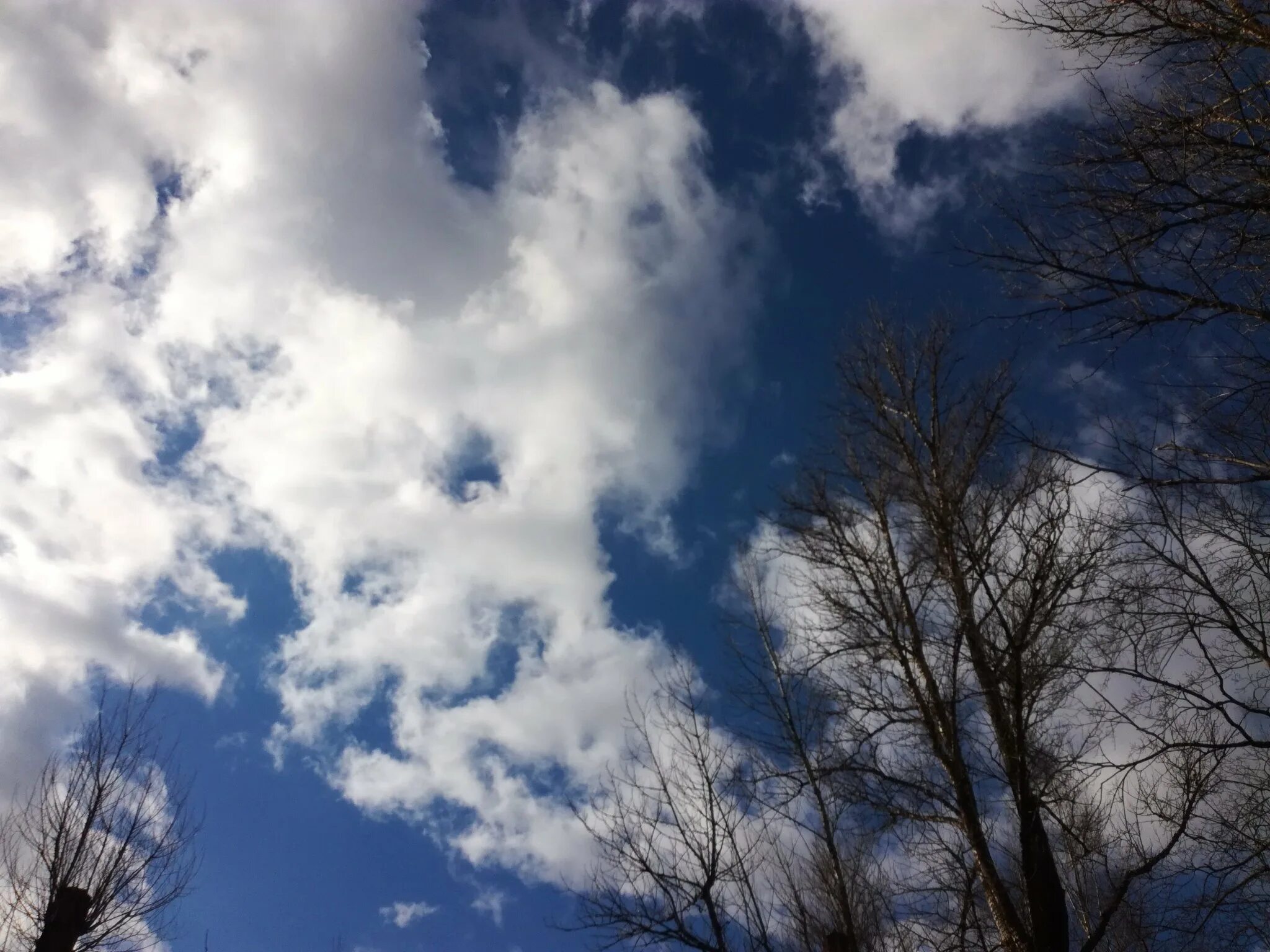 Какая погода сегодня в небе. Весеннее небо. Небо весной. Мартовское небо. Облака.