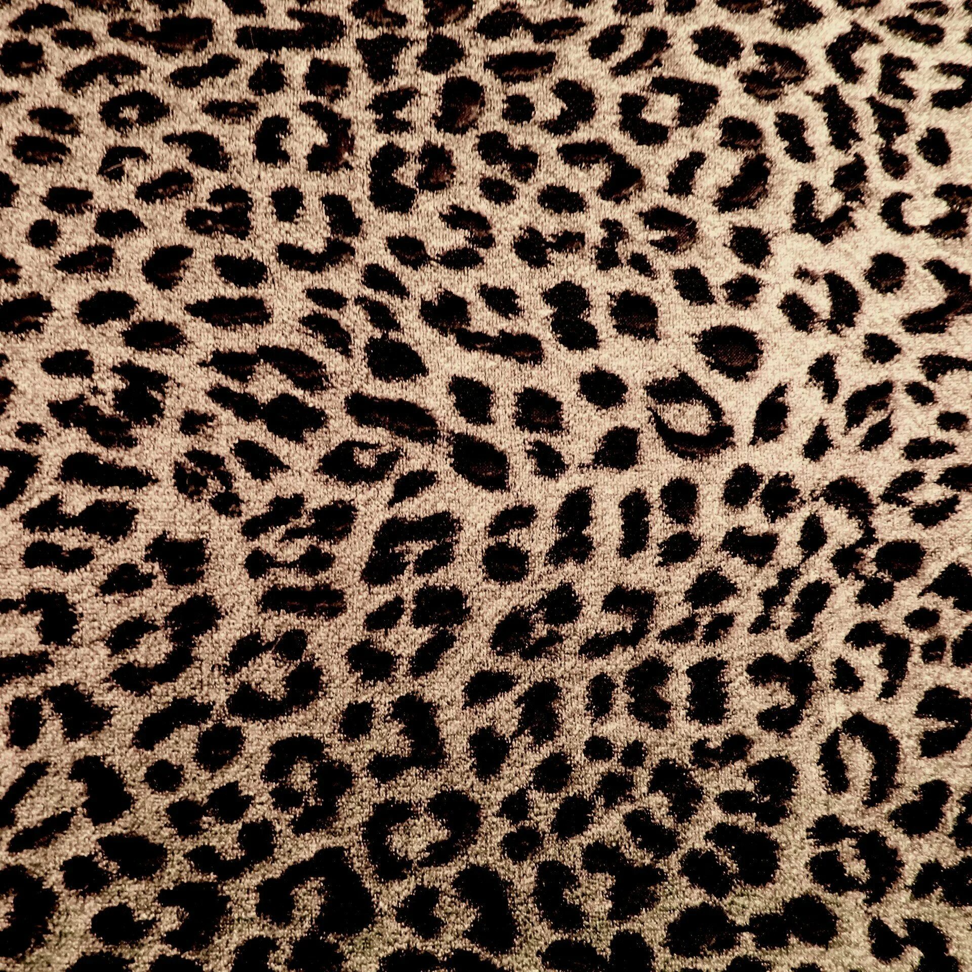 Leopard fur. Шкура гепарда. Паттерн гепард. Мех леопарда. Шкура леопарда.