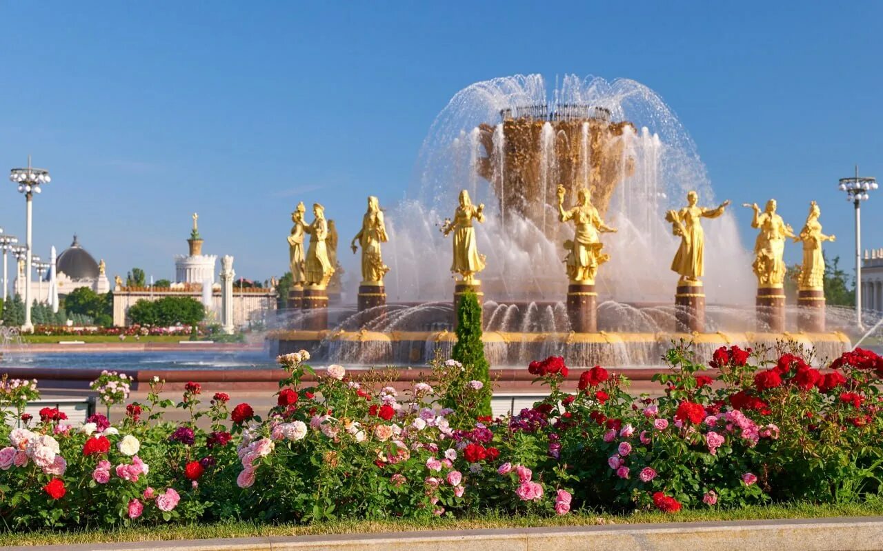 Цветочные поля на вднх. Вднх москва цветы. Вднх в цветах. Партерные цветники вднх. Вднх москва цветы.