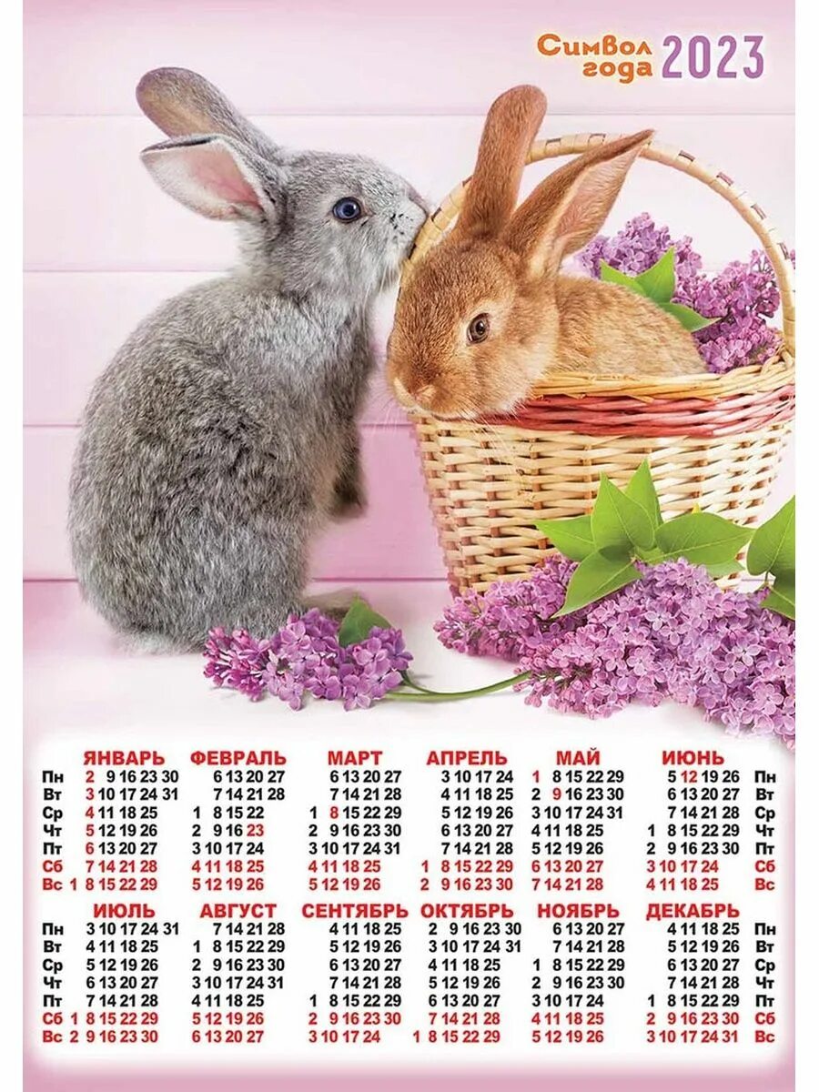 Календарь 2023 с кроликом. Листовой календарь 2023 кролик. Календарики с кроликом. Год кролика календарь на 2023 год.