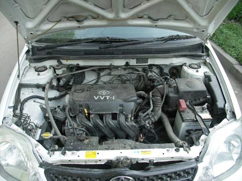 Купить двигатель королла 120. Подкапотка Toyota Corolla 120. Подкапотное пространство Toyota Corolla 120. Подкапотное пространство Тойота Королла 120 кузов. Corolla 120 кузов подкапотка.