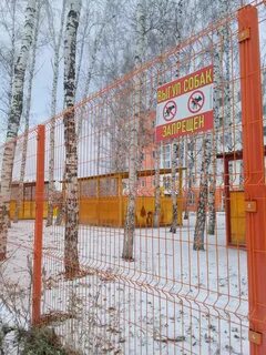 Погода рощино сосновский