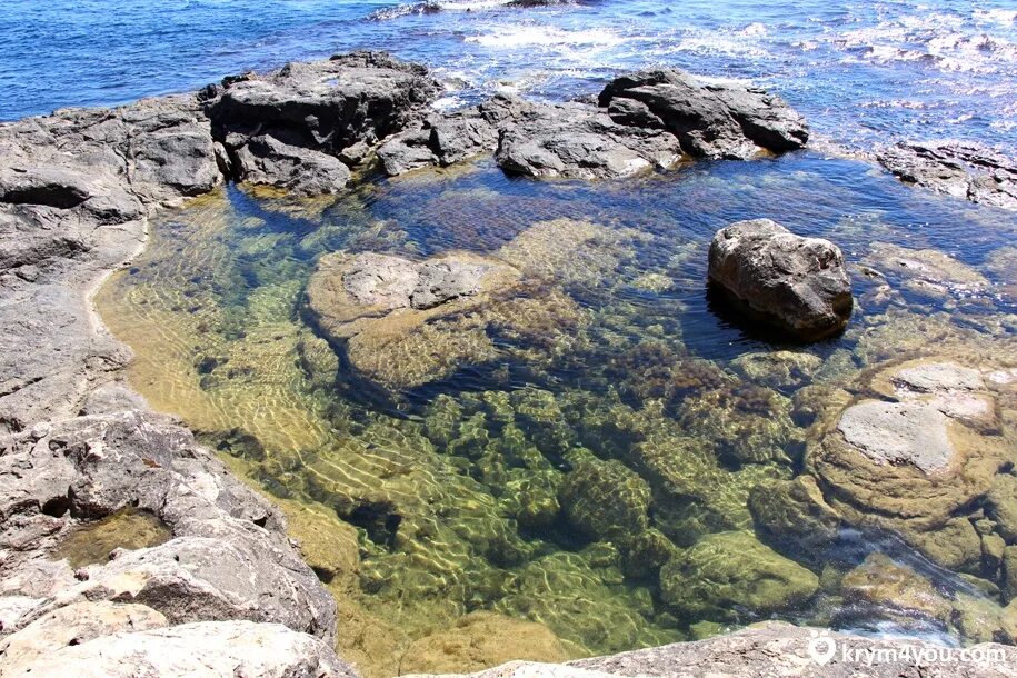 Вода в крыму в августе. Чистое море в крыму. самое чистое море в крыму.