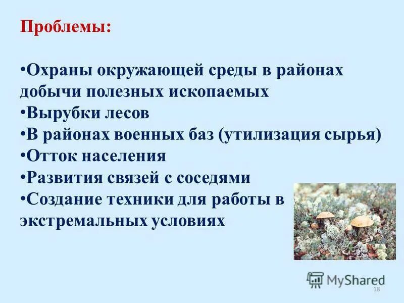 Мероприятия по решению экологических проблем европейского севера. Европейский север проблемы и перспективы развития района. Экономика европейского севера. Экологические проблемы европейского севера. Мероприятия по решению экологических проблем европейского севера.
