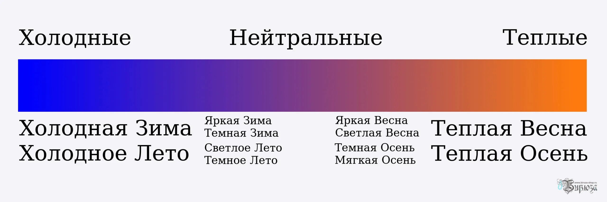 Как определить тип холодный или теплый. Нейтральный цветотип по венам. как понять теплый или холодный оттенок кожи. нейтральный подтон кожи как определить. теплые холодные и нейтральные цвета.