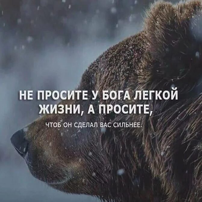 Шикарные цитаты. Сильные цитаты о жизни. сильные афоризмы о жизни. афоризмы фото. сильные высказывания о жизни.