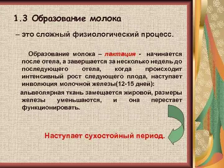 Образование молочной. Процесс образования молока. Фазы образования молока. Процесс образования и выделения молока. Особенности образования молока.