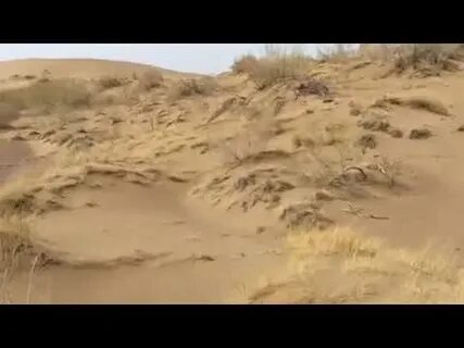 Каракум видео