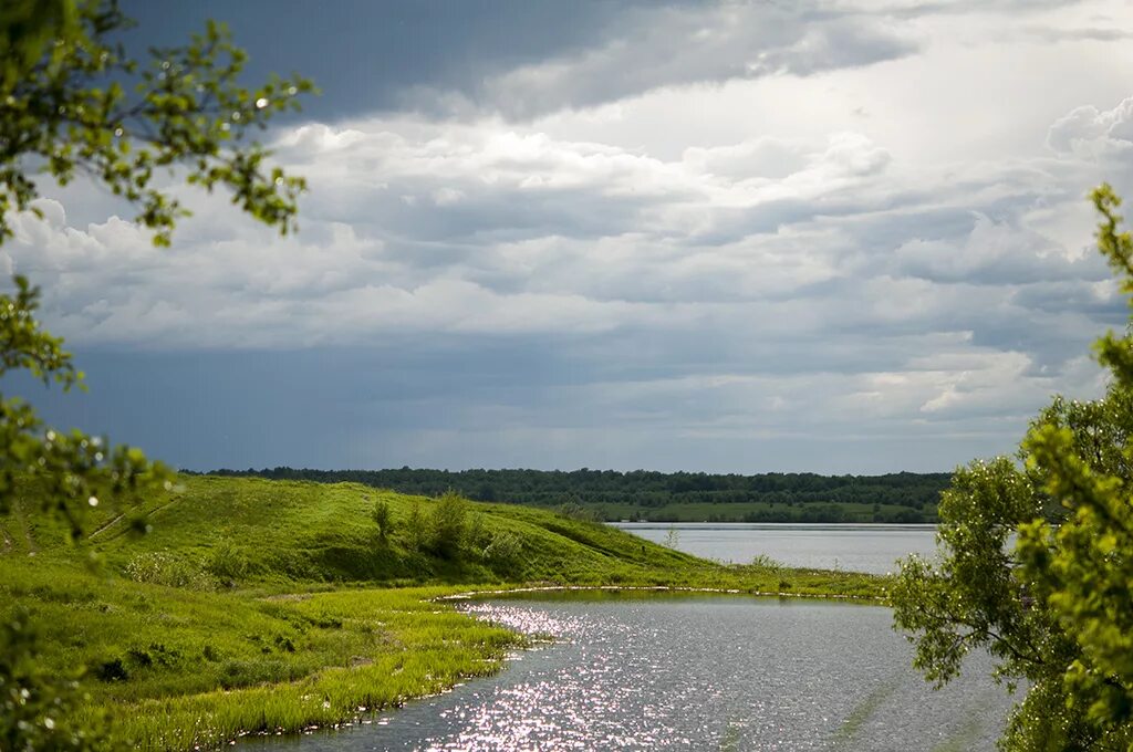 Волга это река. Река Чебула. Верх Чебула природа. Чебулинка река. Озеро в Чебуле.