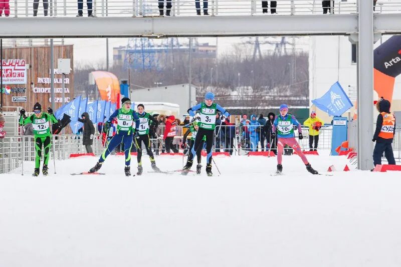 гбу академия лыжных гонок и биатлона. лыжная академия москва. горнолыжный спорт. московская горнолыжная академия логотип. горнолыжный склон московская область чулково.