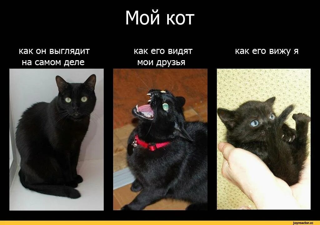 Кто где не вижу но мне нравится