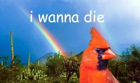 I wanna die