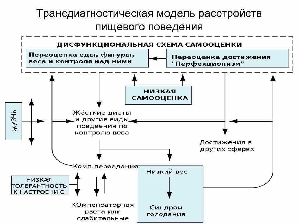 Применение протокола когнитивной процессинговой терапии возможно. Опорный конспект расстройства пищевого поведения. Расстройство пищевого поведения. Типы нарушения пищевого поведения. Схема нарушения пищевого поведения..