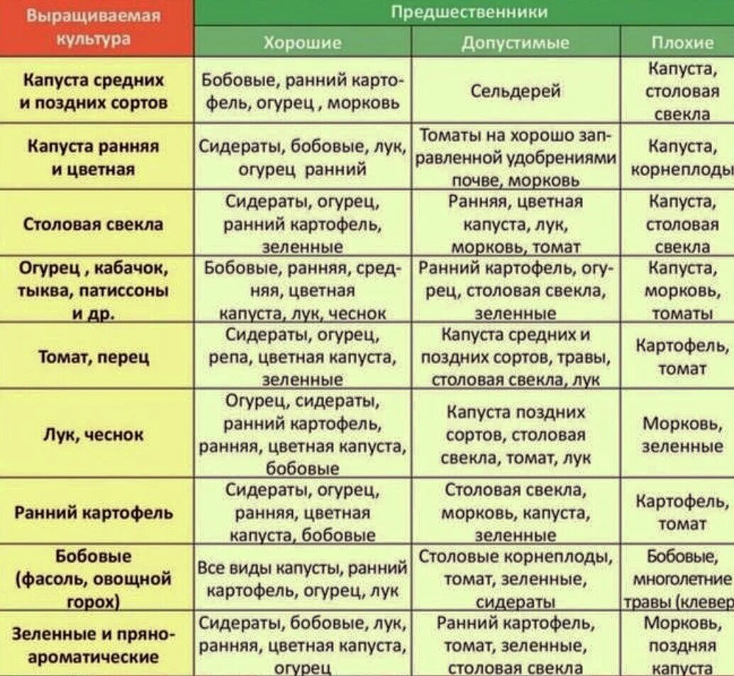 Таблица севооборота овощных культур. Севооборот овощей в огороде таблица планирование. Таблица севооборота овощных культур и сидератов. Схема чередования культур в севообороте.