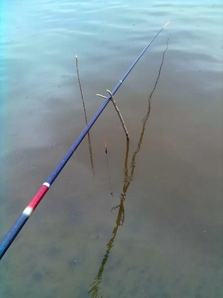 Донка для рыбалки. Рыболовные спиннинги. Ночная рыбалка на сома. Рыбалка на спиннинг. Как ловить удочкой с берега.