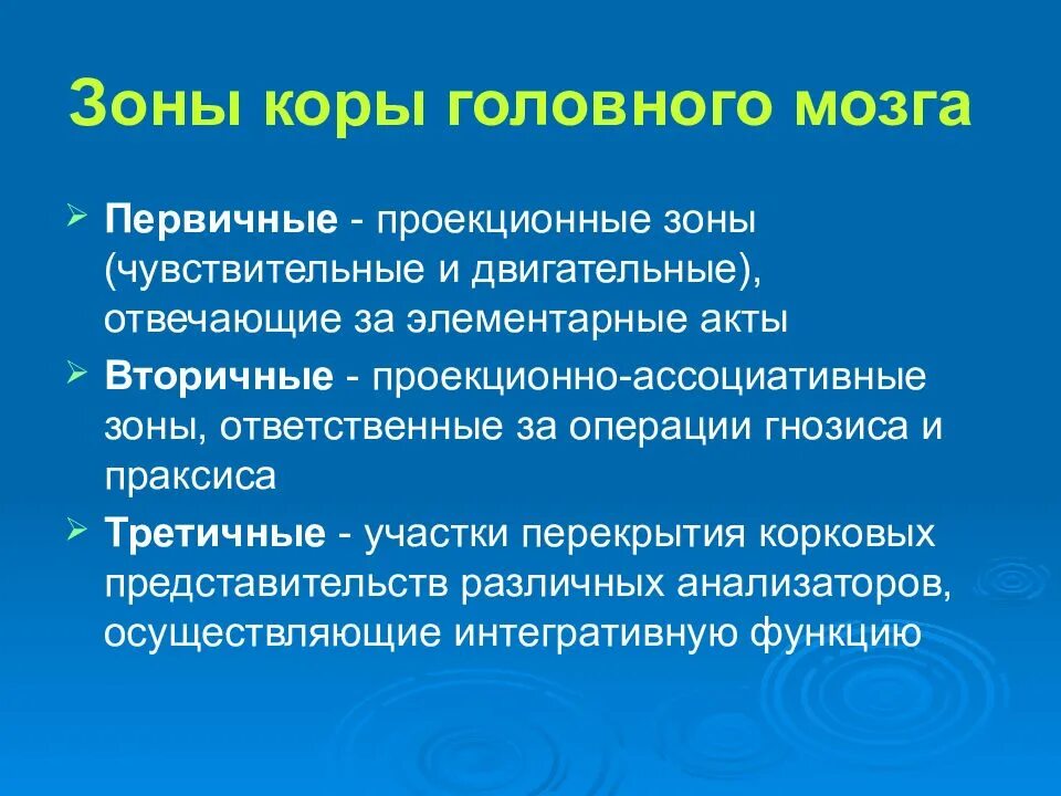 Ассоциативная операция. Первичные проекционные зоны сенсорной коры. Вторичные зоны коры головного мозга. Первичные вторичные и третичные зоны мозга. Первичная проекционная зона.