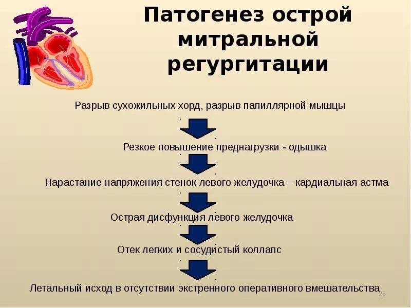 Приобретенные пороки аортального клапана патогенез. Механизм развития клапанных пороков сердца. Пороки сердца этиология. Митральная недостаточность патогенез. Сердечная недостаточность митрального клапана