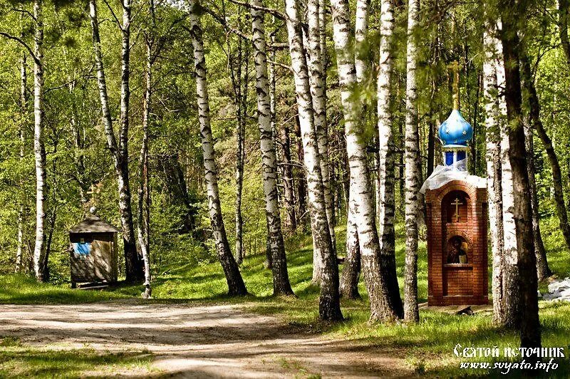 Владимирские родники. Клязьминский городок Ковровского района. Святой источник Клязьминский городок. Голышево Ковровский. Село Клязьминское Родник Ковровский район.