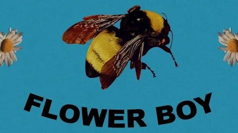Flower boy