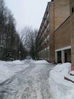 Пни 23