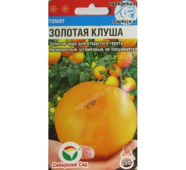 Томат золотая клуша отзывы урожайность характеристика