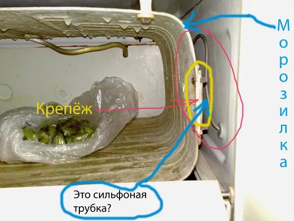 Терморегулятор Свияга 2. Свияга холодильник испаритель. Холодильник Атлант трубка терморегулятора. Сильфонная трубка терморегулятора холодильника.