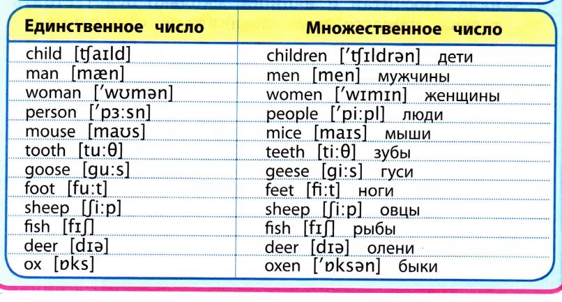 Транскрипция слова лил. Множественное число сущ исключения в английском языке. Слова исключения множественного числа в английском языке. Множественное число имен существительных в английском исключения. Образование множественного числа в английском исключения.