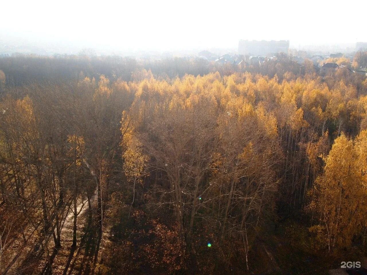 Free Images : tree, nature, wilderness, light, trail, meadow, sunlight, atmosphe