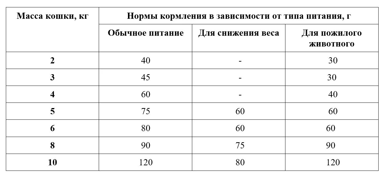 Сколько раз кормят кошку в сутки