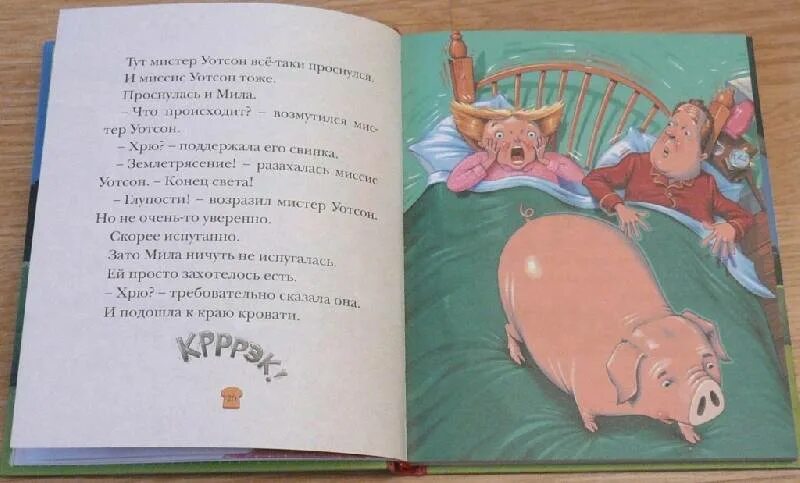 Книга свинка. Книга про свинку.