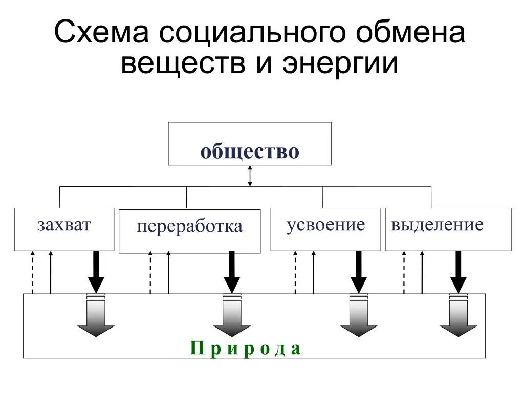 Обмен жизни и среда. Схема обмена энергии. Социальный обмен веществ. Обмен веществ между обществом и природой. Обмен веществом и энергией с окружающей средой схема.