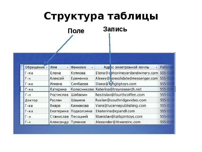 Описать структуру данных. Структура таблиц базы данных структура таблиц базы данных. Таблица базы данных и системы управления базами данных. База данных access структура таблиц. Структура таблицы Информатика 9 класс.