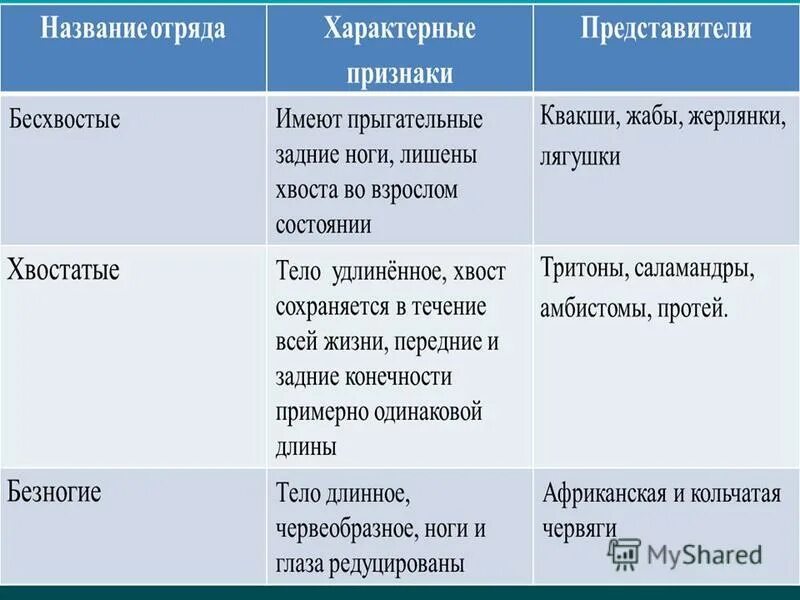 Таблица отряд безногие хвостатые бесхвостые. Таблица по биологии 7 класс безногие хвостатые бесхвостые. Характеристика отрядов земноводных 7 класс. Сравнительная характеристика отрядов земноводных.