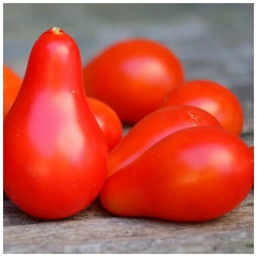 Pear tomato