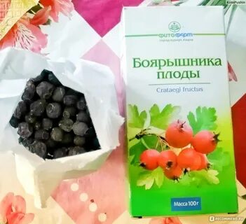 Отвар плодов боярышника