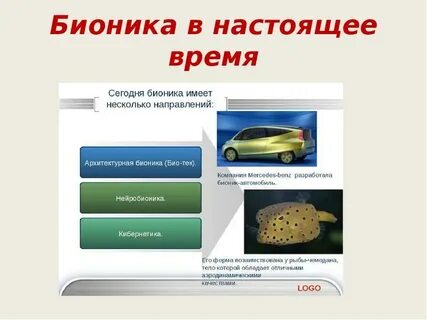 Что такое бионика в биологии 8 класс