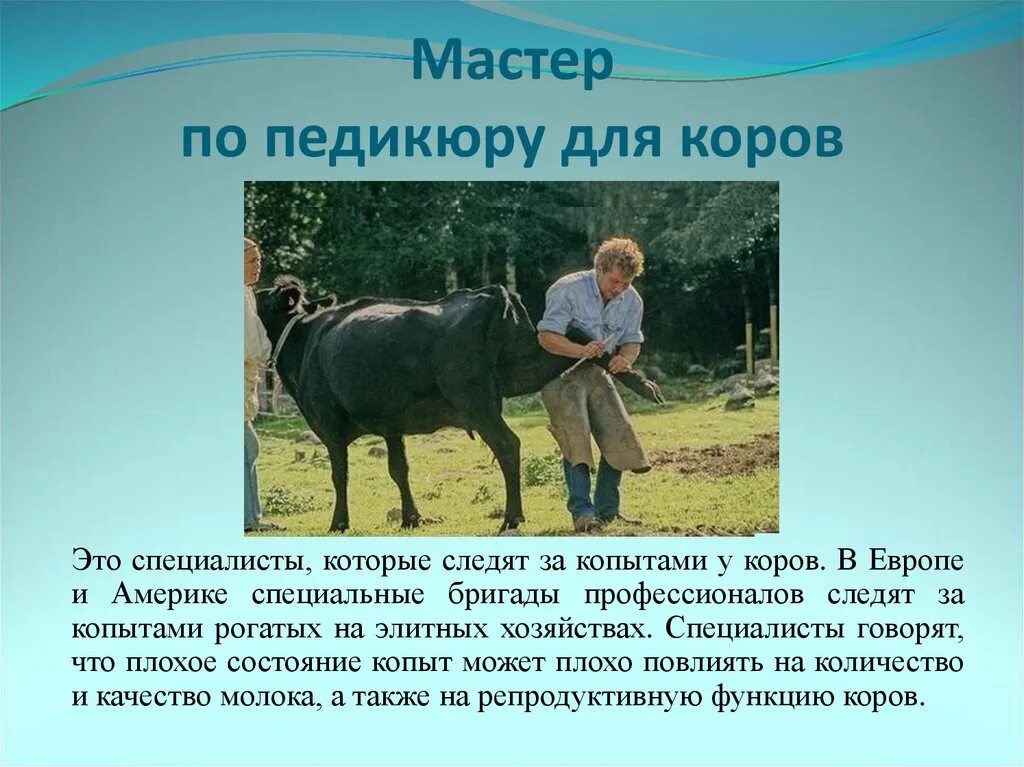 Самая редкая работа