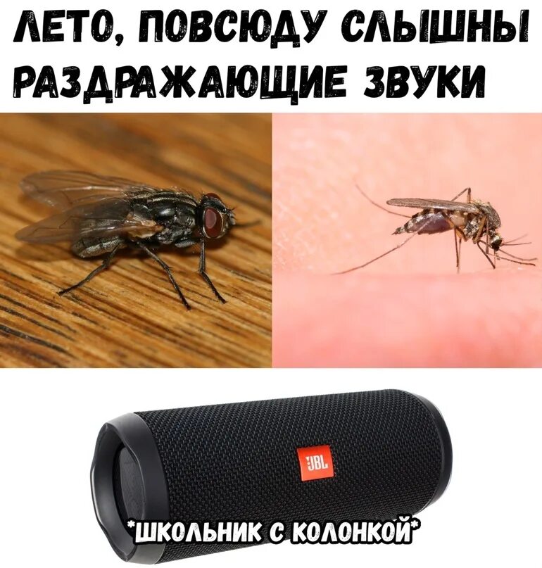 Раздражающие звуки для соседей