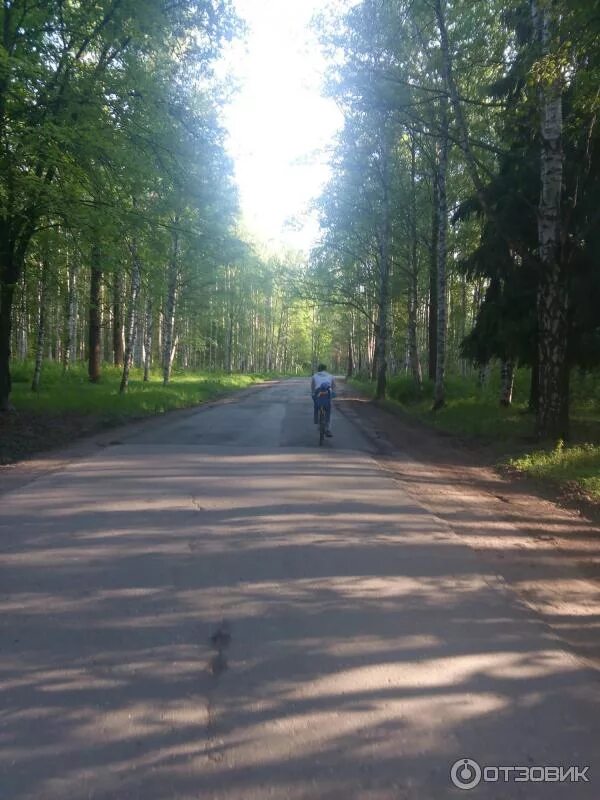 Парки Вологды (часть 1): vologda - ЖЖ