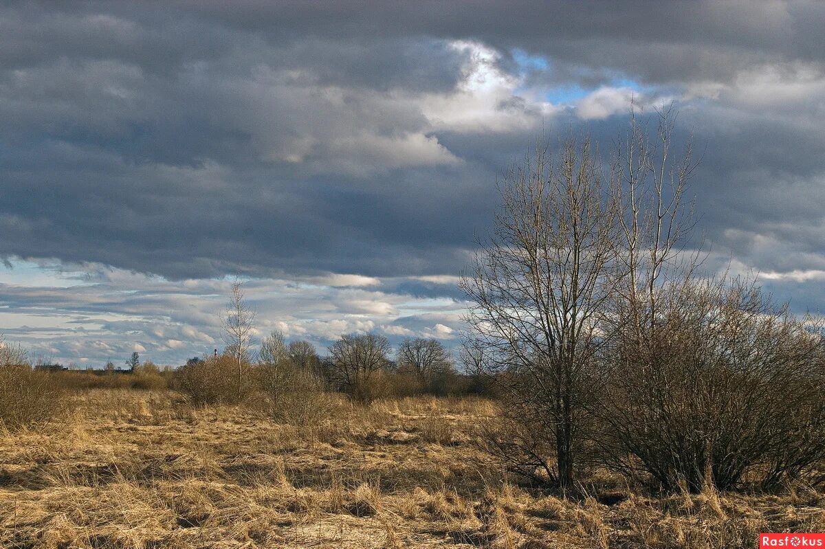 26. апрельское небо (2022). нойз мс 2022. бьющий в апрельское небо над припятью. природа проф фотограф.