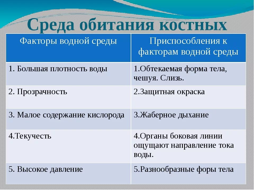 3 признака хрящевых рыб. Сравнительная характеристика костных рыб. Отряды хрящевых и костных рыб таблица. Среда жизни костных рыб. Многообразие костных рыб таблица.