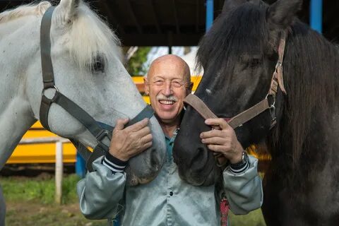 Доктор пол ветеринар на русском языке