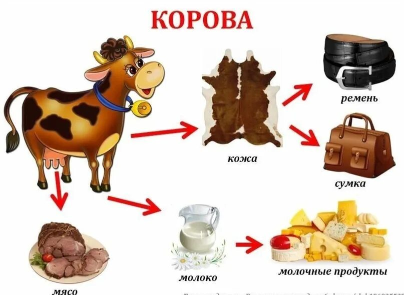 Чем полезны домашние животные карточки-схемы. Чем полезны домашние животные. Польза домашних животных для детей. Еда для домашних животных. И т д можно получить