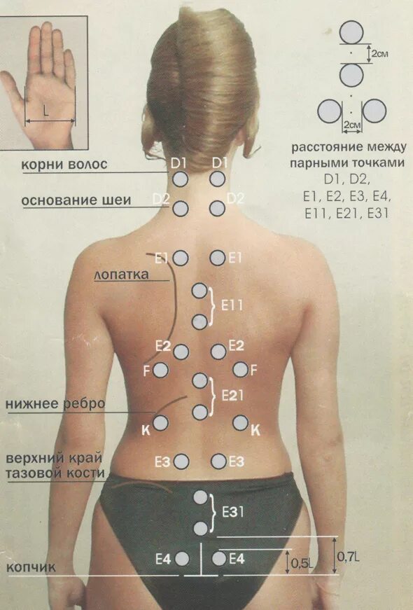 Точки какие у женщин. Точки на спине. Точки на спине для массажа. Точечный массаж позвоночника. Массажные точки на спине и шее.