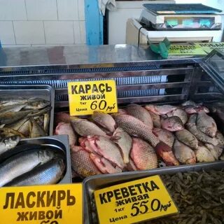 Южный рынок телефон